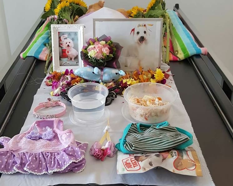 Saying goodbye: Owners go the extra mile for their pet’s final journey