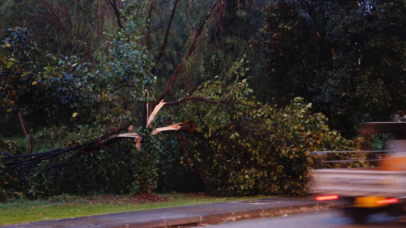 Hail, flash floods, fallen trees reported in Yishun after thunderstorm