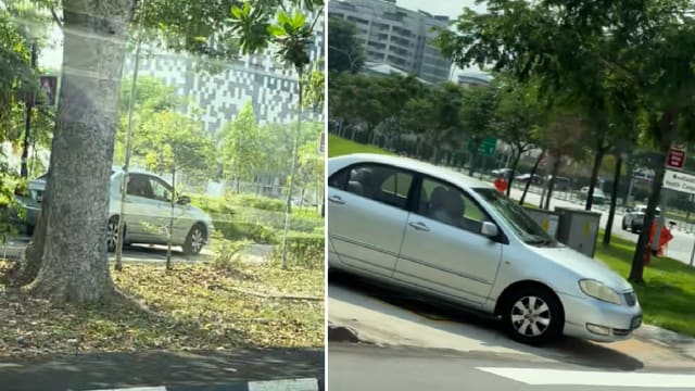 疑看错指示牌 司机误把车开上公园连道