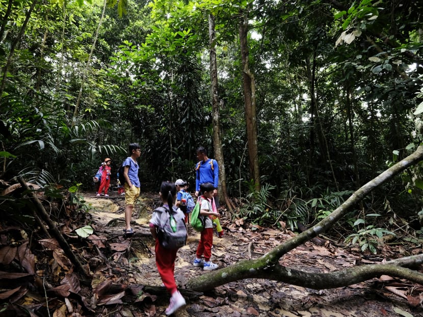 Forest School Singapore founder Darren Quek leads a group of children through a designated trail within the Rifle Range Nature Park. Forest School Singapore founder Darren Quek leads a group of children through a designated trail within the Rifle Range Nature Park.