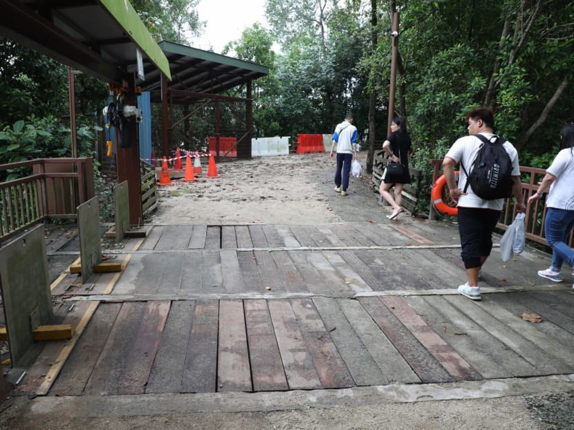 Planks of a crossing at Sungei Buloh Wetland Reserve where two people fell during a downpour have been replaced, as seen on Jan 26, 2023.
Planks of a crossing at Sungei Buloh Wetland Reserve where two people fell during a downpour have been replaced, as seen on Jan 26, 2023.