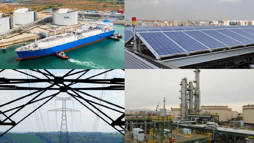 Commentary: That low-carbon future for Singapore isn’t so far-fetched