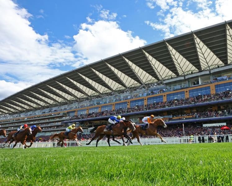 Horse racing - Shock 50-1 winner takes opening race at Royal Ascot