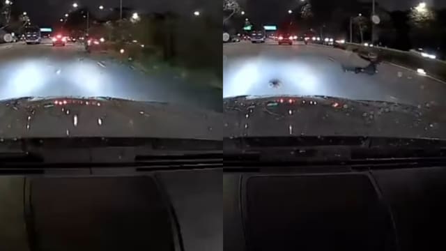 公路旁树倒压中摩托车 两人被送院治疗 公路旁树倒压中摩托车 两人被送院治疗