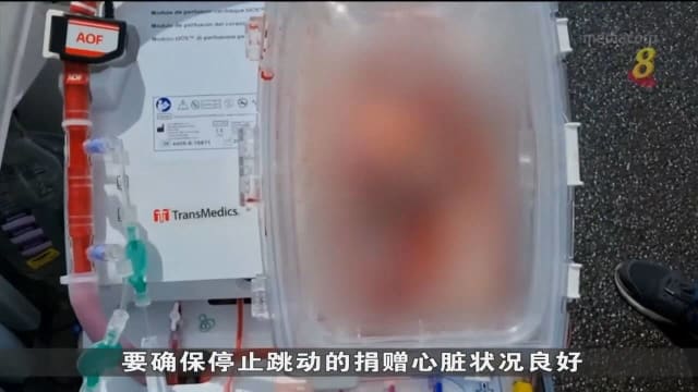世卫：全球三分之一过早死亡由心脏病引起