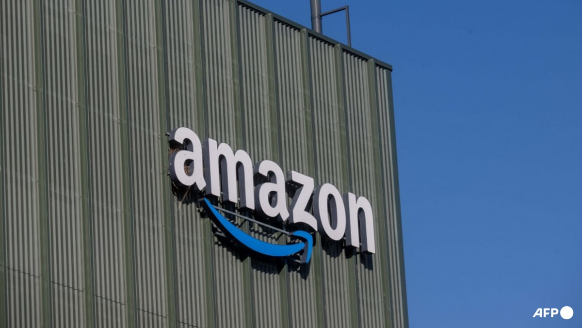 Swedish group reports Amazon over childlike sex doll sales