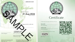 Related article image