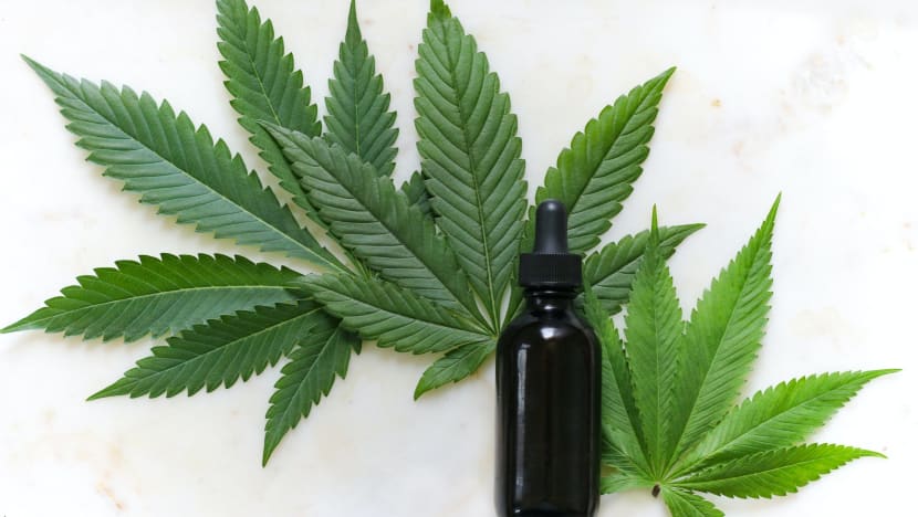 Boleh daftar ganja sebagai ubat jika ada bukti selamat diguna, kata Menteri Kesihatan M'sia