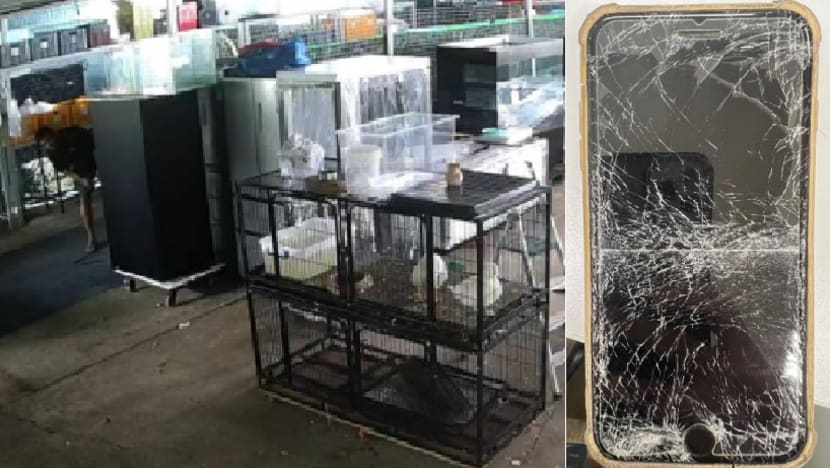 Man kept record 69 wild animals illegally in fish farm leased from NParks, gets jail Man kept record 69 wild animals illegally in fish farm leased from NParks, gets jail