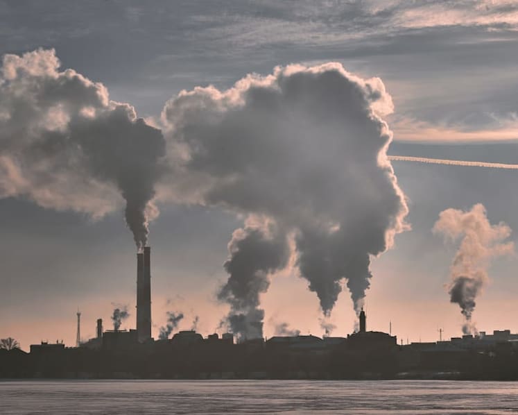 Student coalition urges S'pore universities to cut ties with fossil fuel firms by 2030 