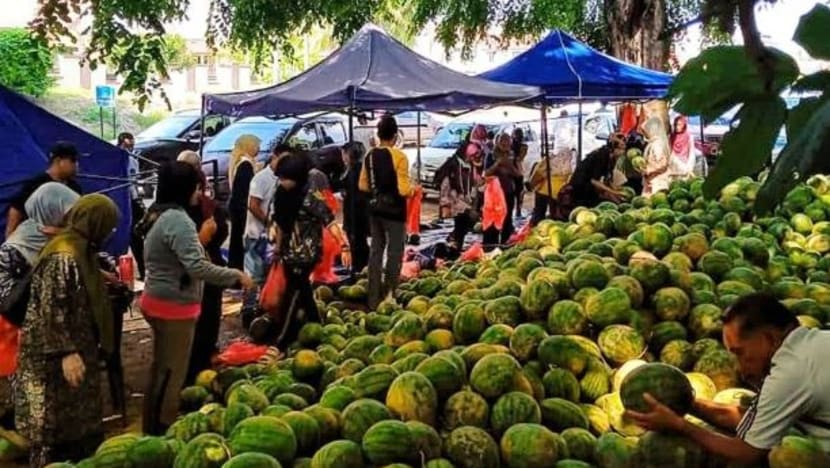 Didakwa jadi mangsa penipuan, ribuan orang bantu ejen buah 'habiskan' 24 tan tembikai