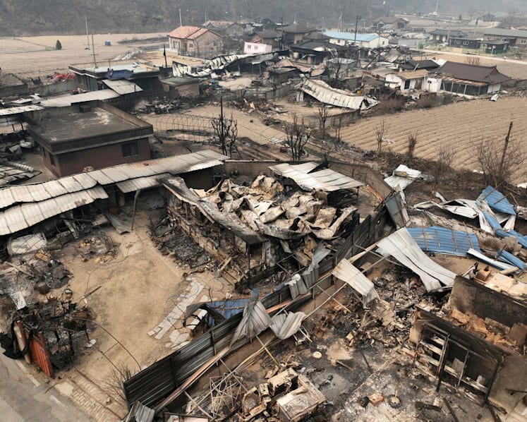 'I can only cry': Homes, cultural heritage sites destroyed in South Korea's deadliest wildfires on record