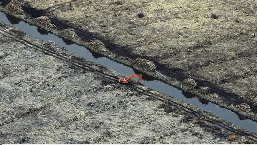 Indonesia kekalkan penggantungan permit tebang hutan
