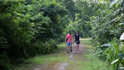 Related article image