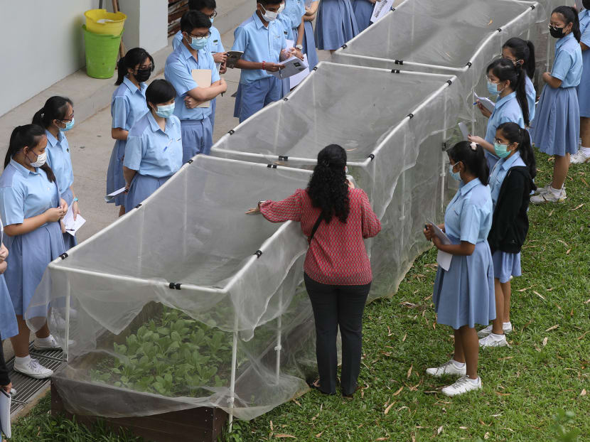 A biology lesson being conducted in the school nursery at Commonwealth Secondary School. The author believes that one way to develop well-calibrated learners is to include continuous feedback on students' self-assessments on both the levels of confidence and performance at the item level and entire test paper.