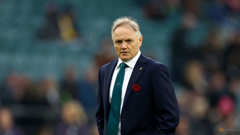 Australia coach Schmidt impressed by depth of Lions squad