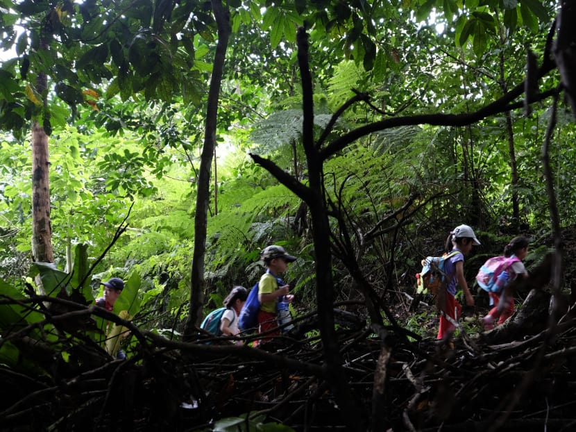 Gen Y Speaks: What I learned about finding a balance to protect our green spaces