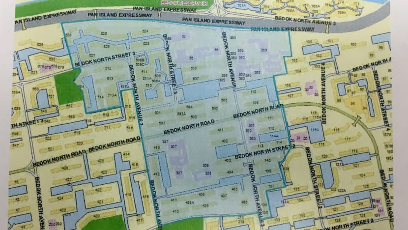 Zika outbreak: 33 more confirmed cases, new potential cluster at Bedok North Ave 3