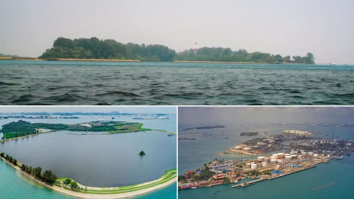 NDR 2026: Singapore’s new western island could pave way for nuclear power, experts say