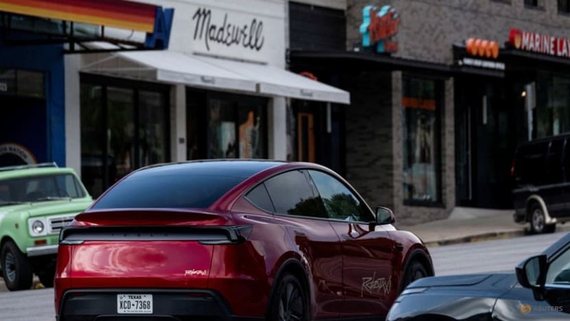 Tesla to roll out human-driven chauffeur service in Bay Area, California regulator says