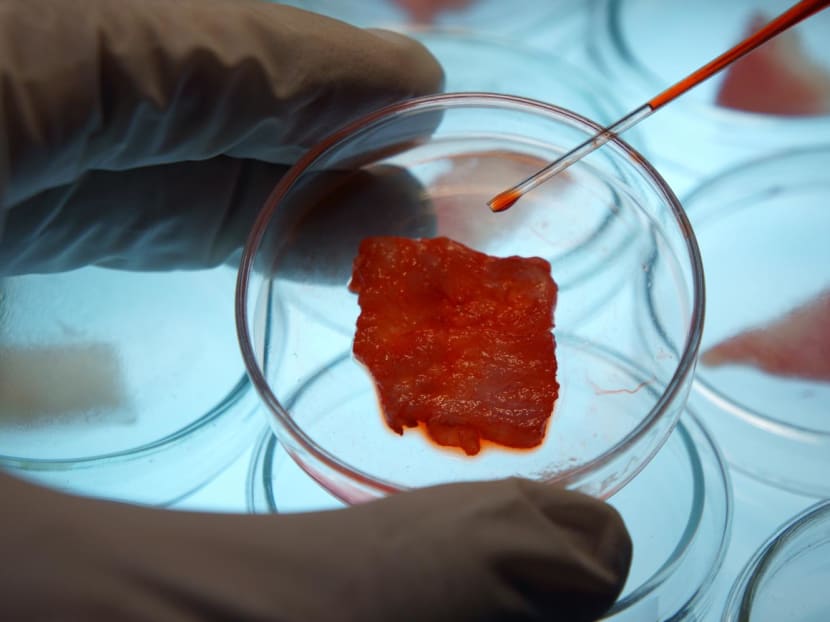 A file photo of a lab-grown meat sample. A file photo of a lab-grown meat sample.