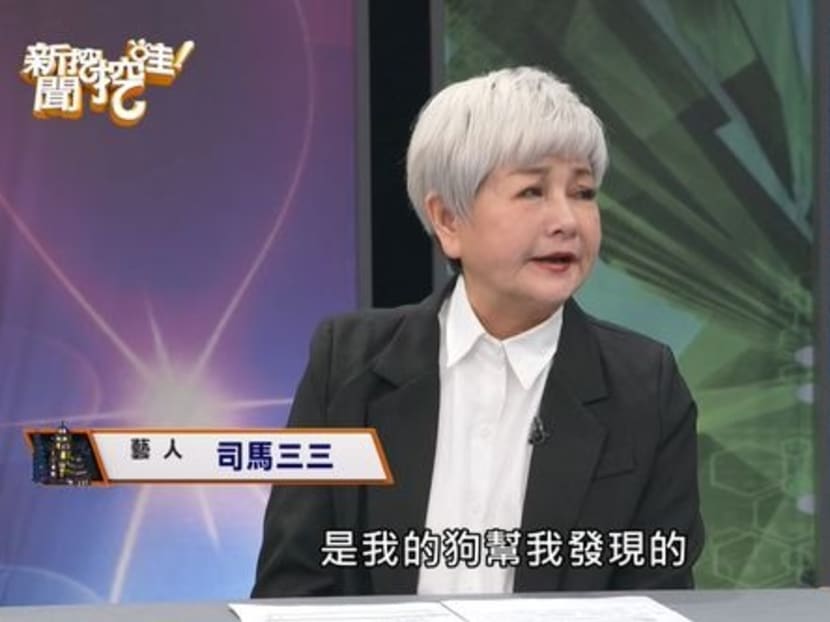 'My dog detected I had breast cancer': Veteran Taiwanese star says her pet maltese helped save her life 