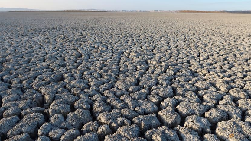Warming El Nino set to return in mid-2026
