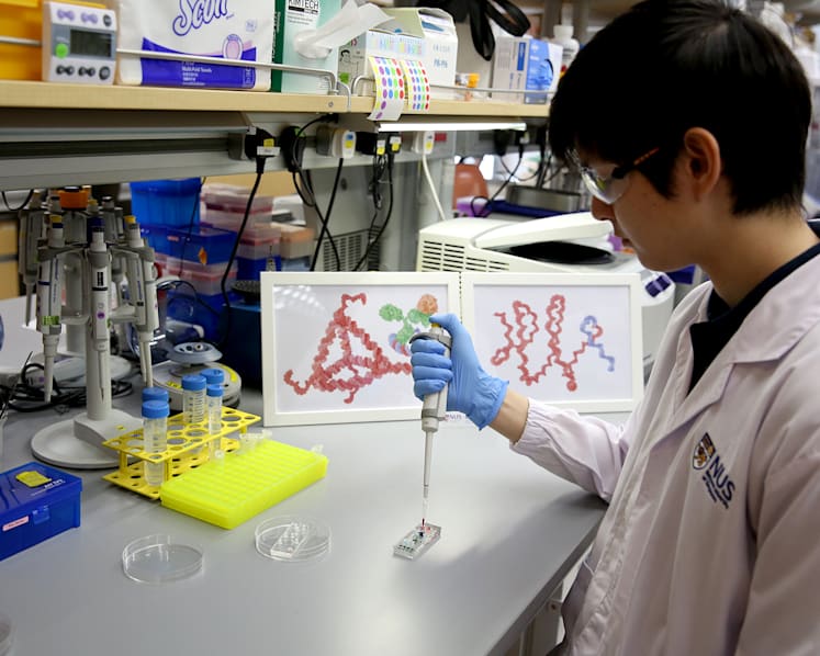 No more weeks of anxious waiting: Two-hour cancer testing in the pipeline at NUS