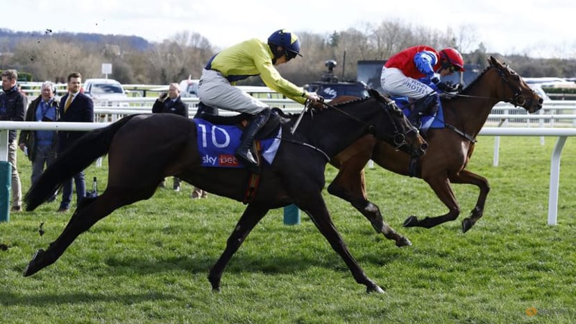 Horse racing-Irish jockey O'Sullivan dies after fall in race