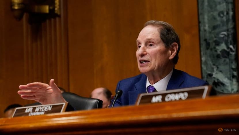 Democratic US senators question Google and Microsoft's AI deals