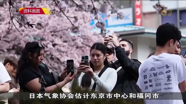 日本今年樱花季节或比往年早 料最快3月16日能赏樱
