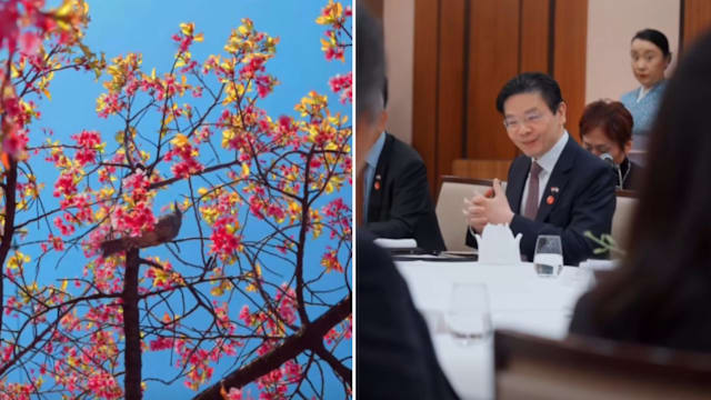 黄循财：国际秩序变化 我国必须扩大朋友圈