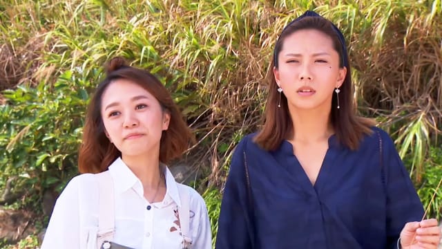 金家好媳妇（第496集）：婉妃再出坏招