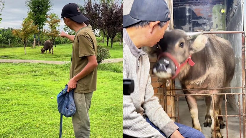 Second chances or glorifying crime? Ex-con influencers go viral in China amid controversy