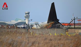 Jeju Air crash: Did pilots shut down wrong engine before deadly crash? | Video