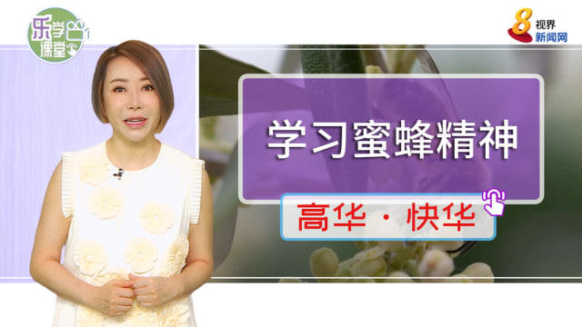 【高华快华】副校长转行养蜂鼓励学生学习蜜蜂精神