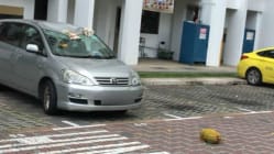 Related article image