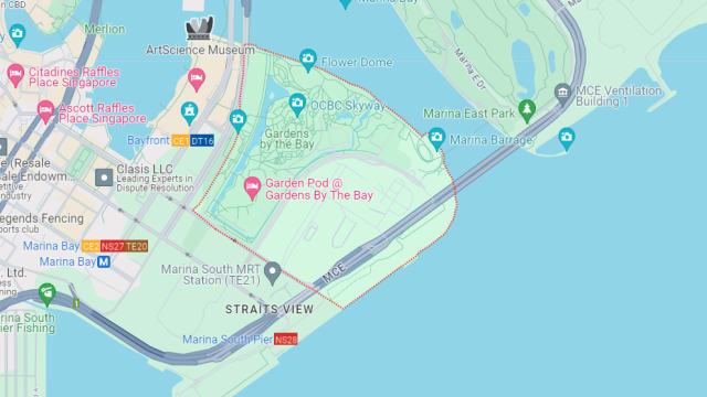 旅游局开放招标 邀商家将滨海南地段发展成养生健康旅游景点
