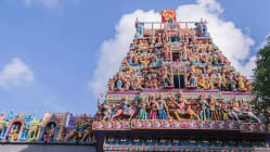 Related article image