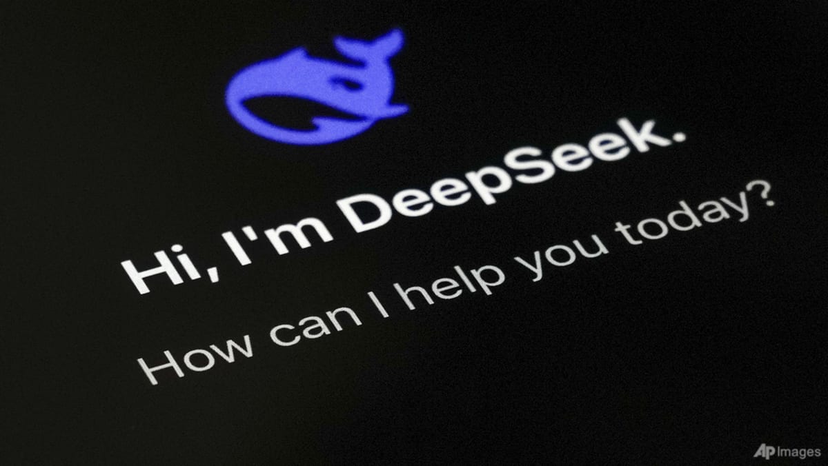 Chatbot vs national security? Why DeepSeek is raising concerns