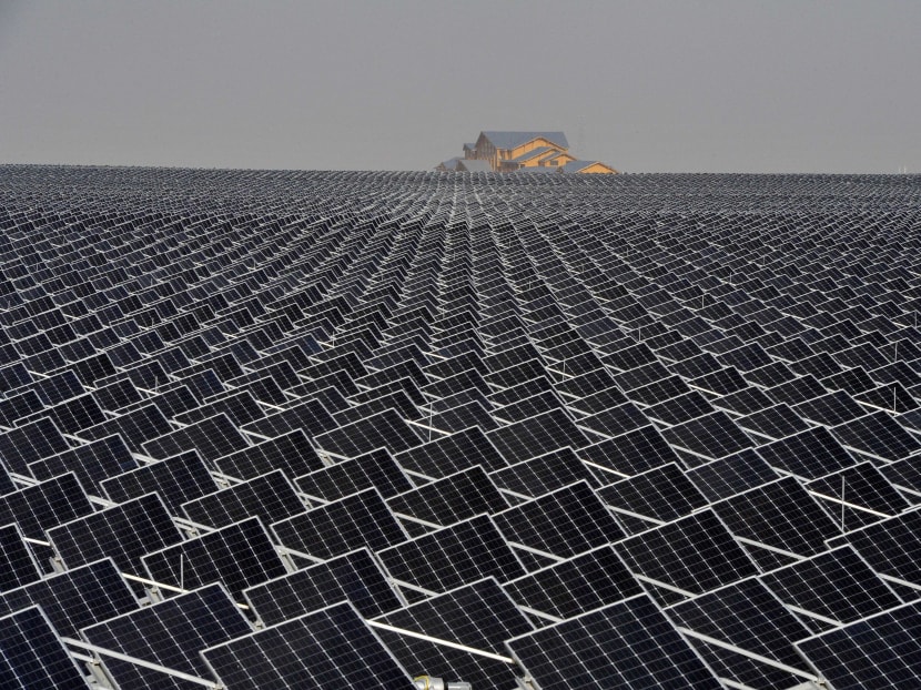 Solar panels are seen in Yinchuan, Ningxia Hui Autonomous Region, China April 18, 2017. Photo: Reuters