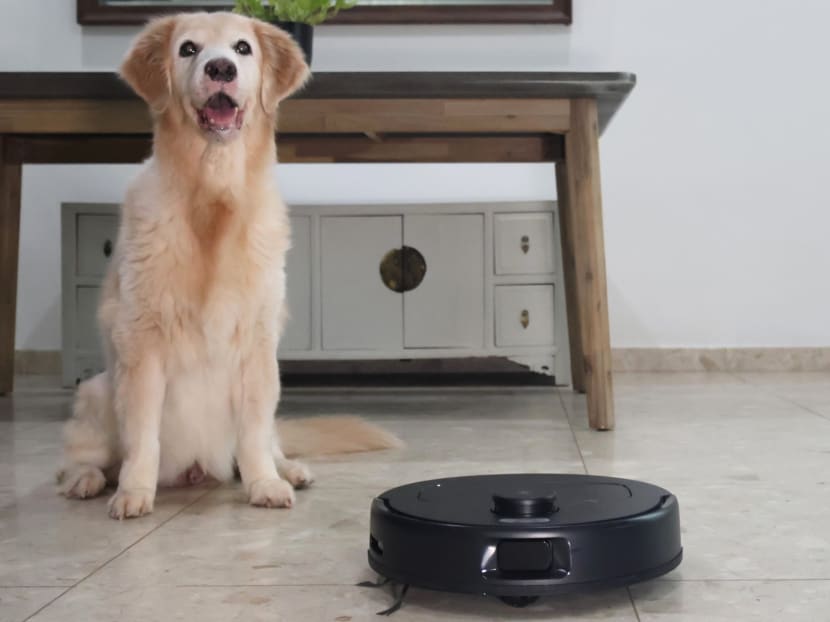 Ecovacs Deebot N30 Pro Omni robot vacuum first impressions: Housework help for pet-loving homeowners Ecovacs Deebot N30 Pro Omni robot vacuum first impressions: Housework help for pet-loving homeowners