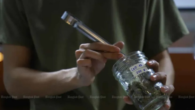 Thailand terbit panduan penggunaan ganja Thailand terbit panduan penggunaan ganja