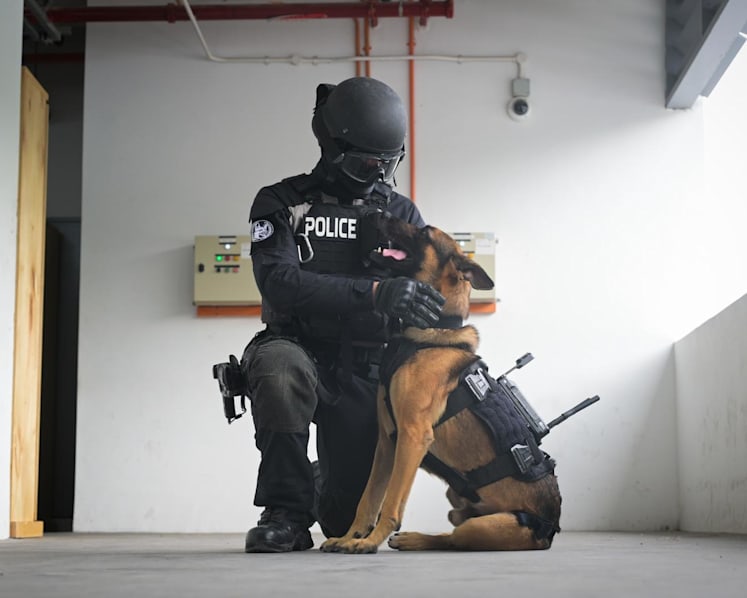 Singapore police trialling mounted cameras on K-9 unit dogs