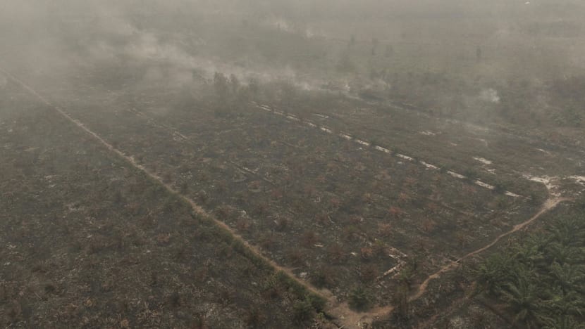 Malaysia's palm oil industry steps up fire prevention efforts as 'Godzilla' El Nino fuels haze woes