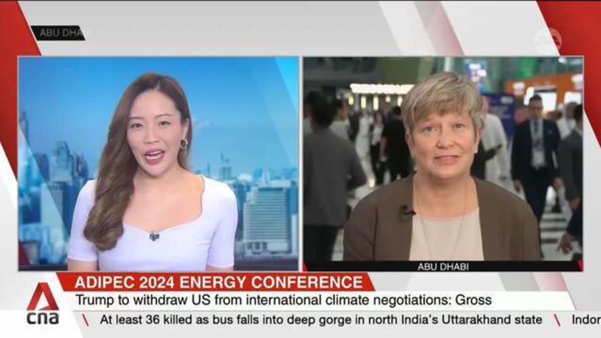 Fuel production not directly controlled by US president: Analyst