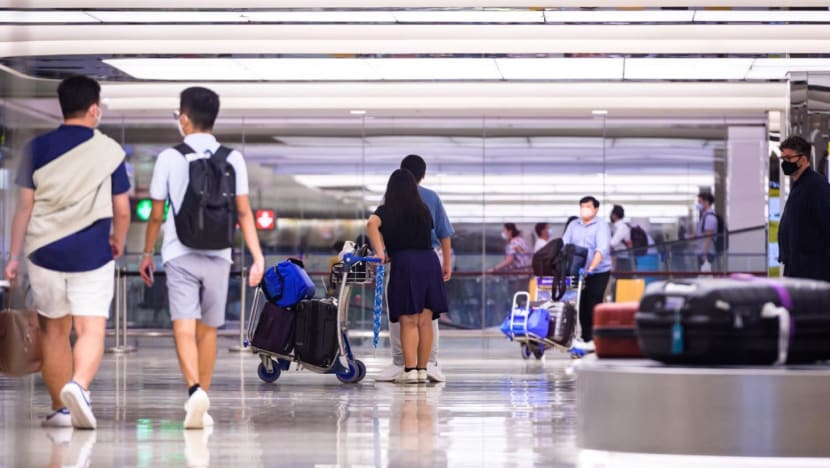 New Singapore-China visa-free travel agreement draws mixed reactions; experts don't foresee influx of Chinese tourists