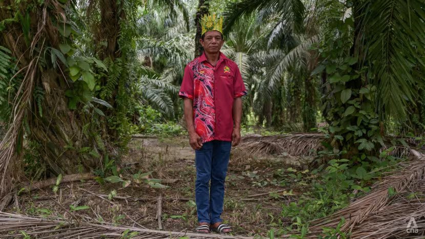 Teriak lirih Orang Asli Malaysia yang berjuang mempertahankan tanah leluhur mereka Teriak lirih Orang Asli Malaysia yang berjuang mempertahankan tanah leluhur mereka