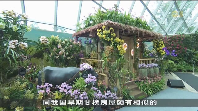 庆新菲建交55载 本地菲学生策划胡姬花展亮相滨海湾花园