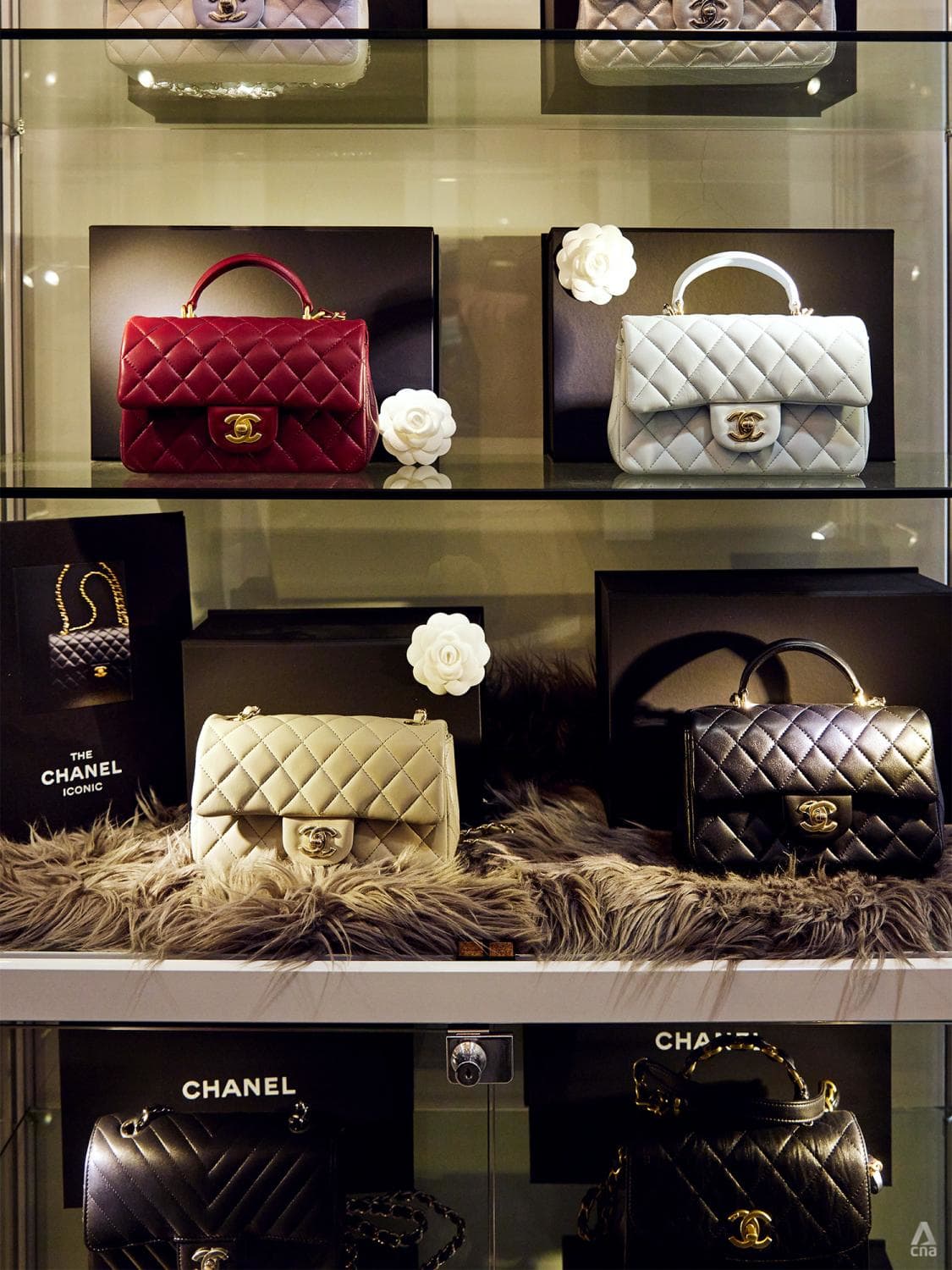 Chanel handbag singapore discount